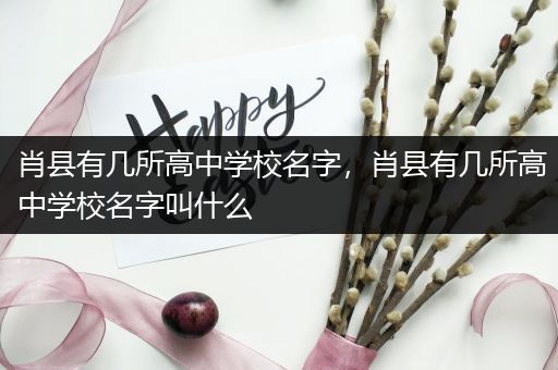 肖县有几所高中学校名字，肖县有几所高中学校名字叫什么