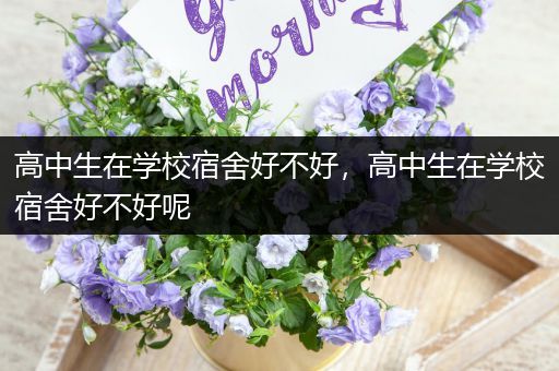 高中生在学校宿舍好不好，高中生在学校宿舍好不好呢