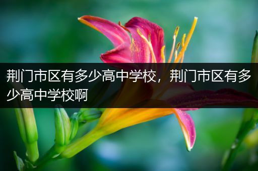 荆门市区有多少高中学校，荆门市区有多少高中学校啊