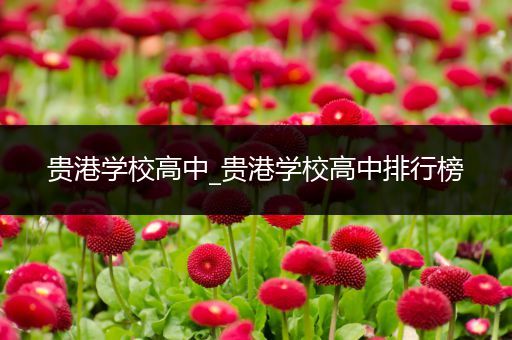 贵港学校高中_贵港学校高中排行榜