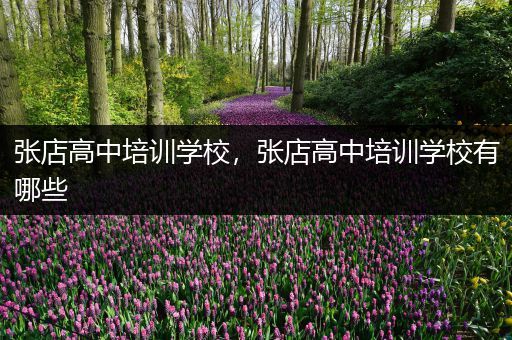 张店高中培训学校，张店高中培训学校有哪些