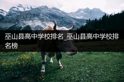 巫山县高中学校排名_巫山县高中学校排名榜