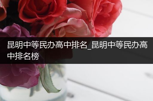昆明中等民办高中排名_昆明中等民办高中排名榜