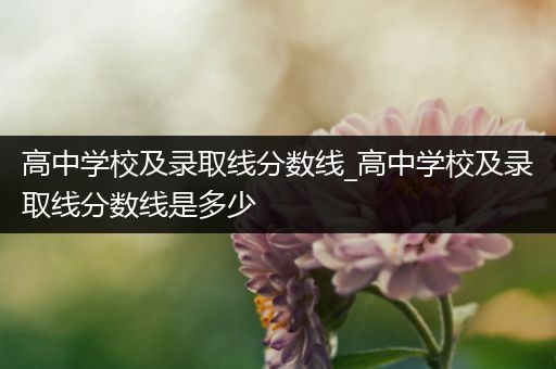 高中学校及录取线分数线_高中学校及录取线分数线是多少