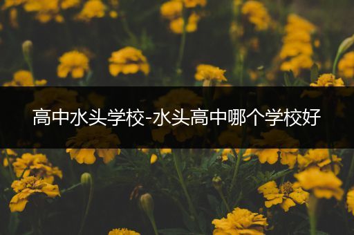 高中水头学校-水头高中哪个学校好
