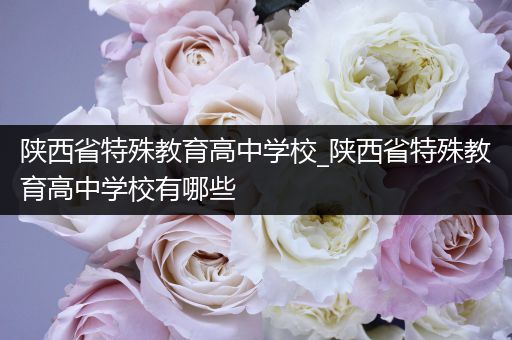 陕西省特殊教育高中学校_陕西省特殊教育高中学校有哪些