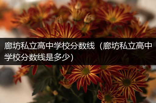 廊坊私立高中学校分数线（廊坊私立高中学校分数线是多少）