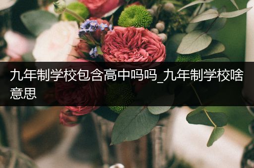 九年制学校包含高中吗吗_九年制学校啥意思