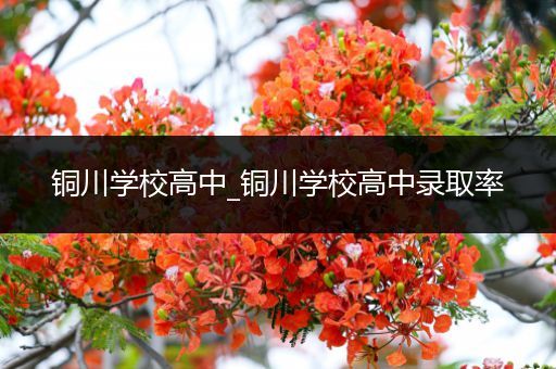 铜川学校高中_铜川学校高中录取率