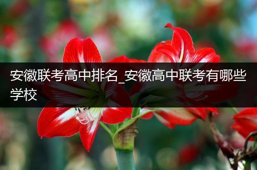 安徽联考高中排名_安徽高中联考有哪些学校