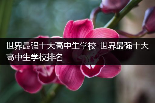 世界最强十大高中生学校-世界最强十大高中生学校排名