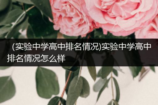 （实验中学高中排名情况)实验中学高中排名情况怎么样