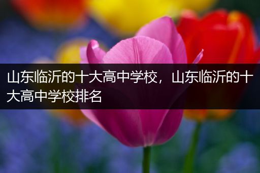 山东临沂的十大高中学校，山东临沂的十大高中学校排名