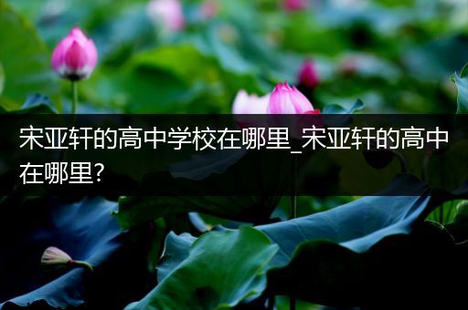 宋亚轩的高中学校在哪里_宋亚轩的高中在哪里?