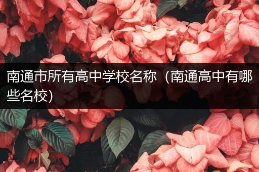 南通市所有高中学校名称（南通高中有哪些名校）