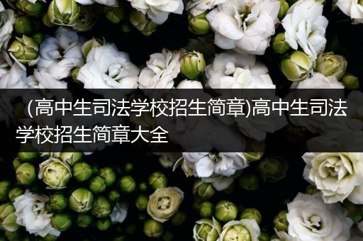 （高中生司法学校招生简章)高中生司法学校招生简章大全