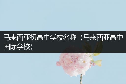 马来西亚初高中学校名称（马来西亚高中国际学校）