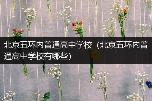 北京五环内普通高中学校（北京五环内普通高中学校有哪些）