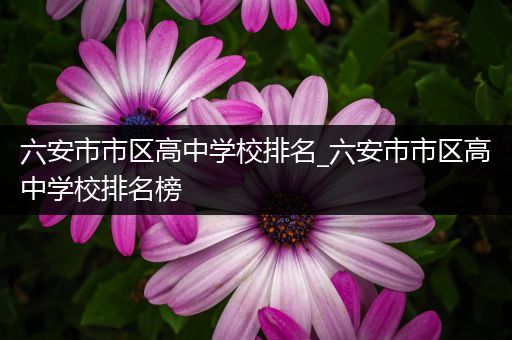 六安市市区高中学校排名_六安市市区高中学校排名榜