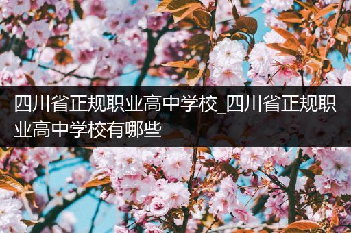 四川省正规职业高中学校_四川省正规职业高中学校有哪些