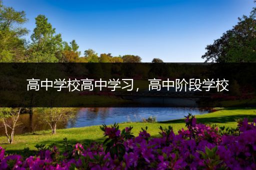 高中学校高中学习，高中阶段学校