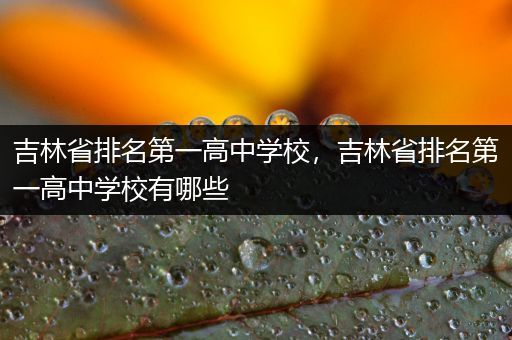 吉林省排名第一高中学校，吉林省排名第一高中学校有哪些