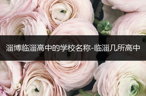 淄博临淄高中的学校名称-临淄几所高中