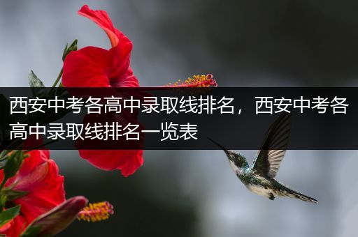 西安中考各高中录取线排名，西安中考各高中录取线排名一览表