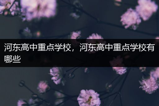 河东高中重点学校，河东高中重点学校有哪些