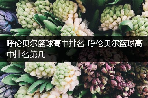 呼伦贝尔篮球高中排名_呼伦贝尔篮球高中排名第几