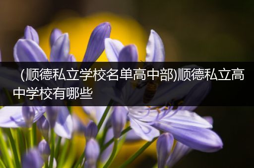（顺德私立学校名单高中部)顺德私立高中学校有哪些