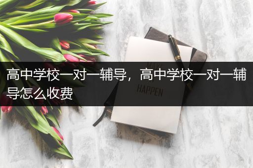 高中学校一对一辅导，高中学校一对一辅导怎么收费