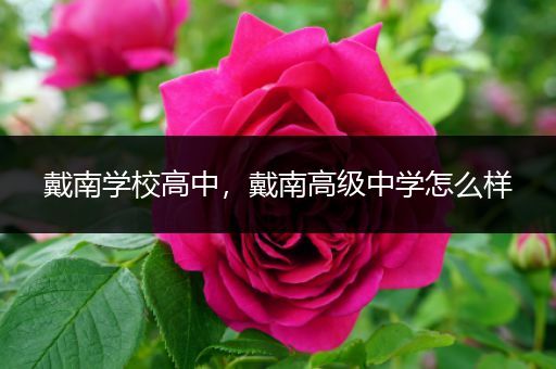 戴南学校高中，戴南高级中学怎么样