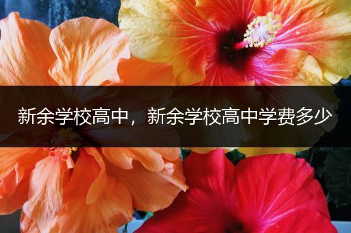 新余学校高中，新余学校高中学费多少