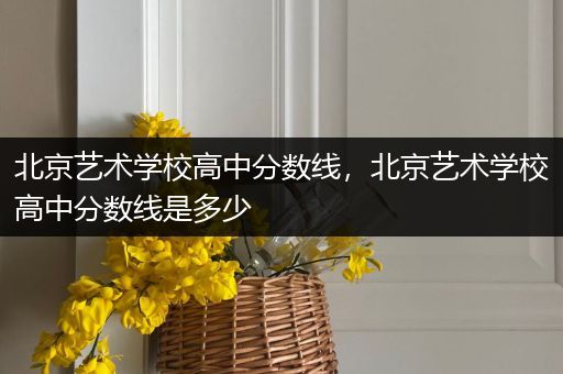 北京艺术学校高中分数线，北京艺术学校高中分数线是多少