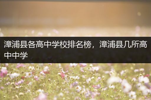 漳浦县各高中学校排名榜，漳浦县几所高中中学