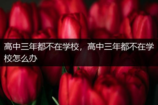 高中三年都不在学校，高中三年都不在学校怎么办