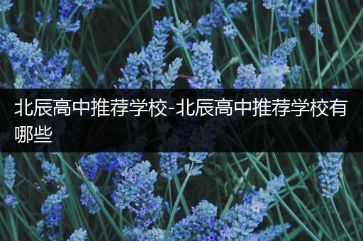 北辰高中推荐学校-北辰高中推荐学校有哪些