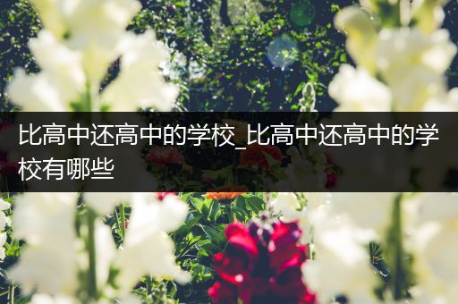 比高中还高中的学校_比高中还高中的学校有哪些