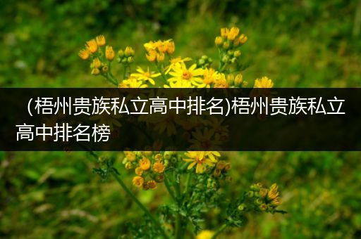 （梧州贵族私立高中排名)梧州贵族私立高中排名榜