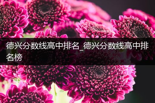 德兴分数线高中排名_德兴分数线高中排名榜