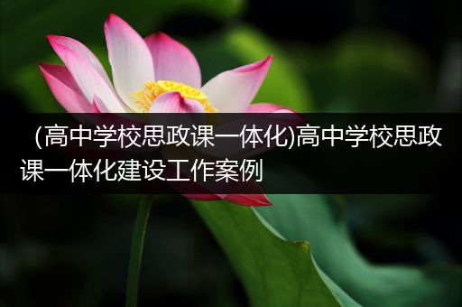 （高中学校思政课一体化)高中学校思政课一体化建设工作案例