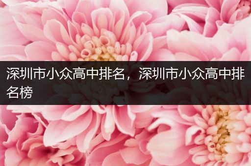 深圳市小众高中排名，深圳市小众高中排名榜