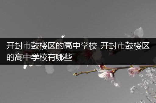 开封市鼓楼区的高中学校-开封市鼓楼区的高中学校有哪些