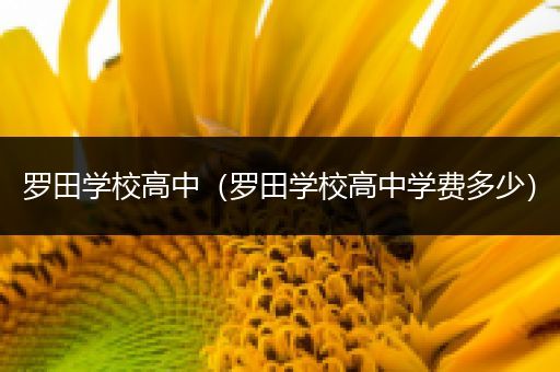罗田学校高中（罗田学校高中学费多少）
