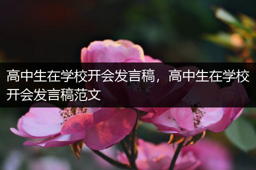 高中生在学校开会发言稿，高中生在学校开会发言稿范文