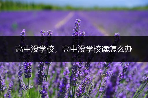 高中没学校，高中没学校读怎么办