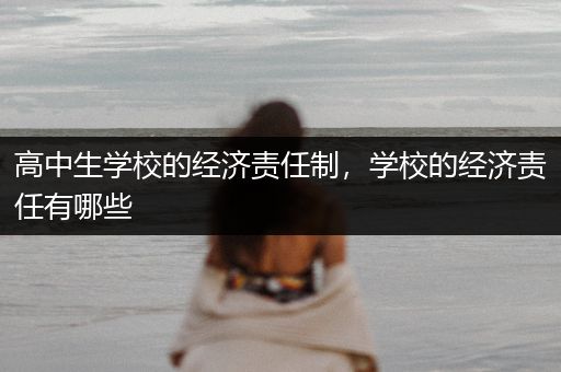 高中生学校的经济责任制，学校的经济责任有哪些