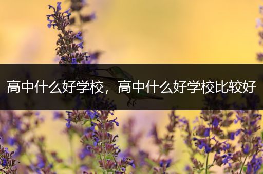 高中什么好学校，高中什么好学校比较好