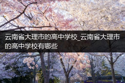 云南省大理市的高中学校_云南省大理市的高中学校有哪些